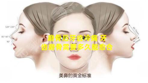 磨骨后牙齿冷痛 牙齿磨骨需要多久能愈合